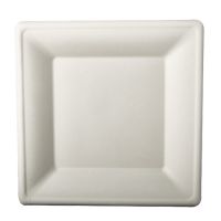 Teller, Zuckerrohr eckig 26 cm x 26 cm